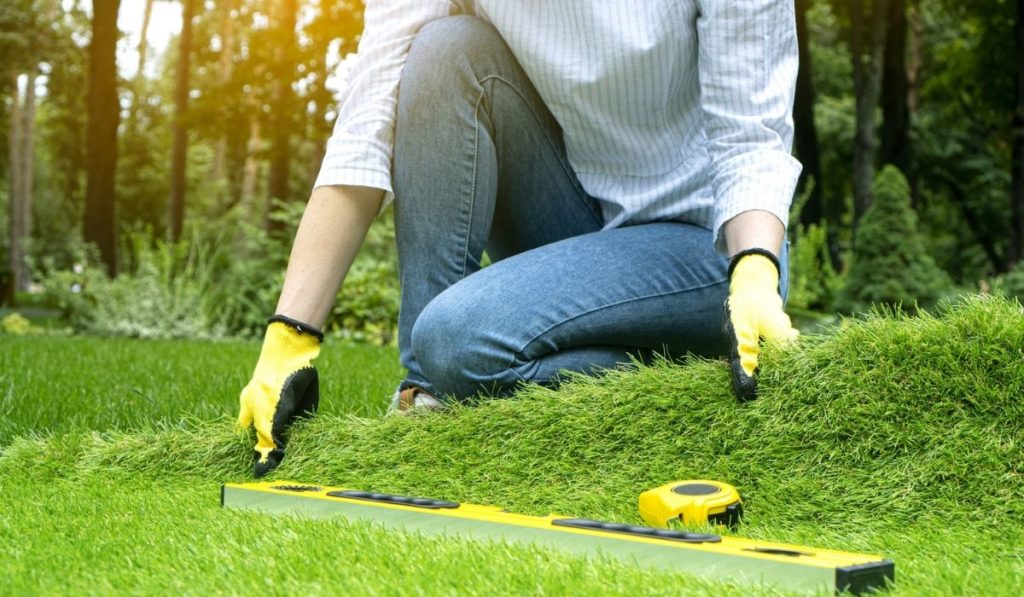 A landscape designer spreads a roll of artificial grass