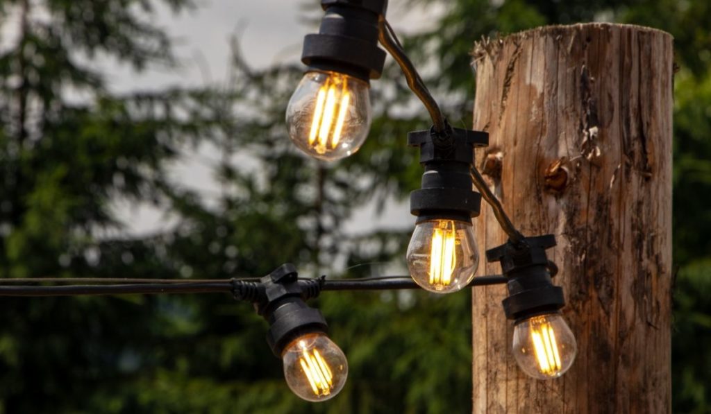 Decorative outdoor string lights hanging on tree