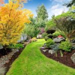 Mulch Vs. Rocks: Which Is Better For Your Yard?