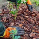 How Long Does Mulch Last & How Often Do You Need To Replace It?