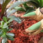 How To Prevent Mulch From Washing Away