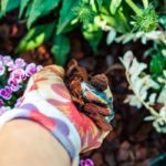 How To Remove Mulch From Your Yard