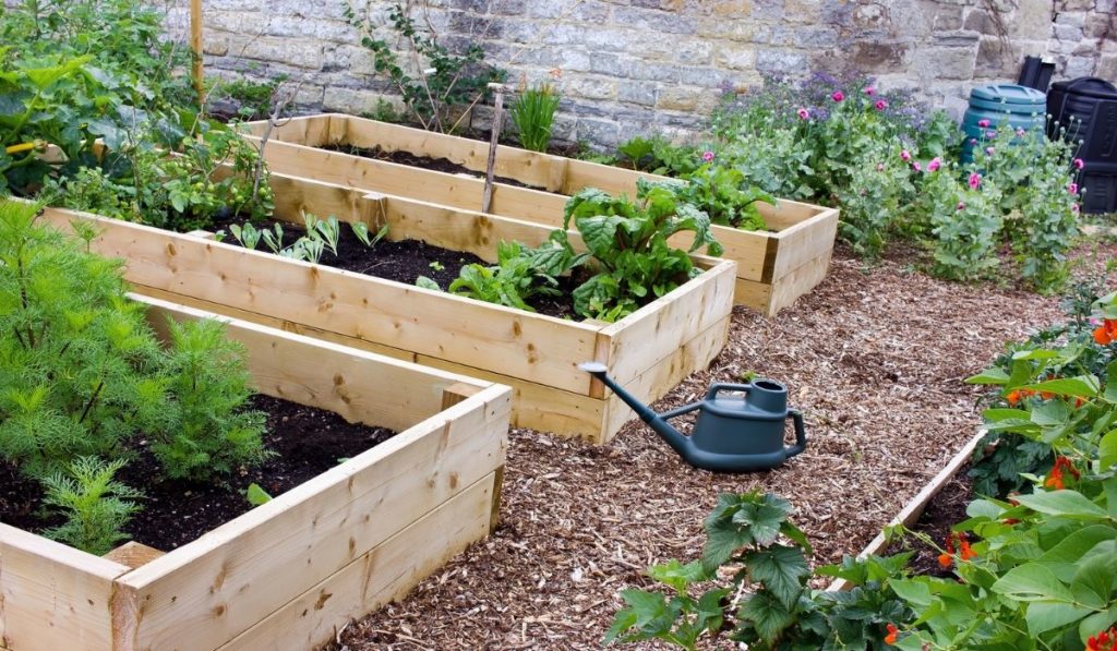 Rustic Country Vegetable & Flower Garden with Raised Beds