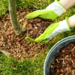 How To Choose The Best Mulch For Raised Garden Beds