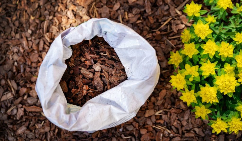 Mulching flower bed with tree bark mulch