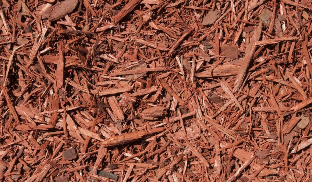 Red Cedar Mulch Background
