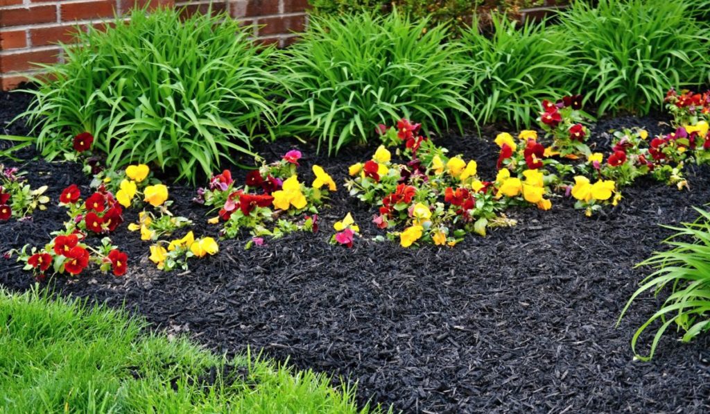 Spring flowerbed freshly filled with new mulch 