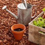 How To Make DIY Mulch At Home!