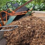 Mulch Durability: How Often Should You Replace Mulch?