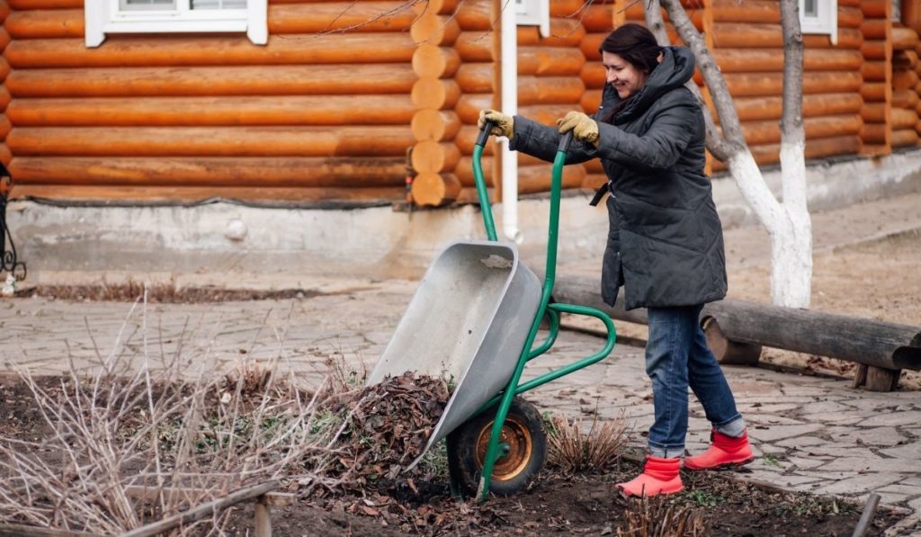 Glad woman in field clothes applying mulching procedure