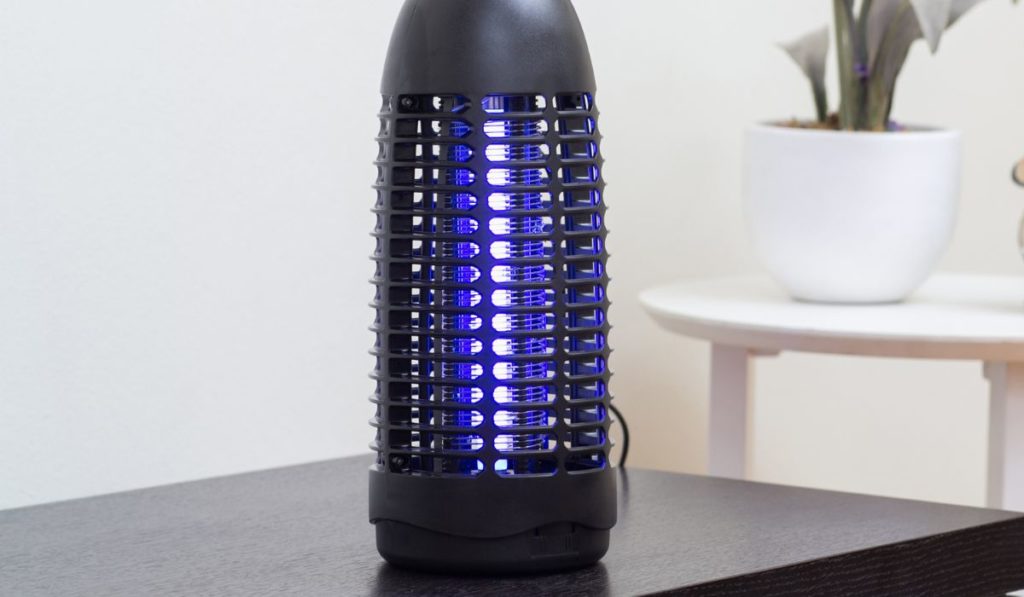 Electric mosquito and insect killer with violet light in living room 