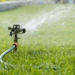 How Often Do You Really Need To Water Your Lawn?