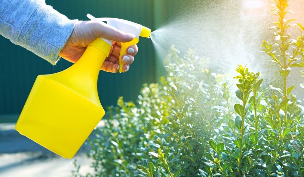 Garden works background with spray atomizer in female hands