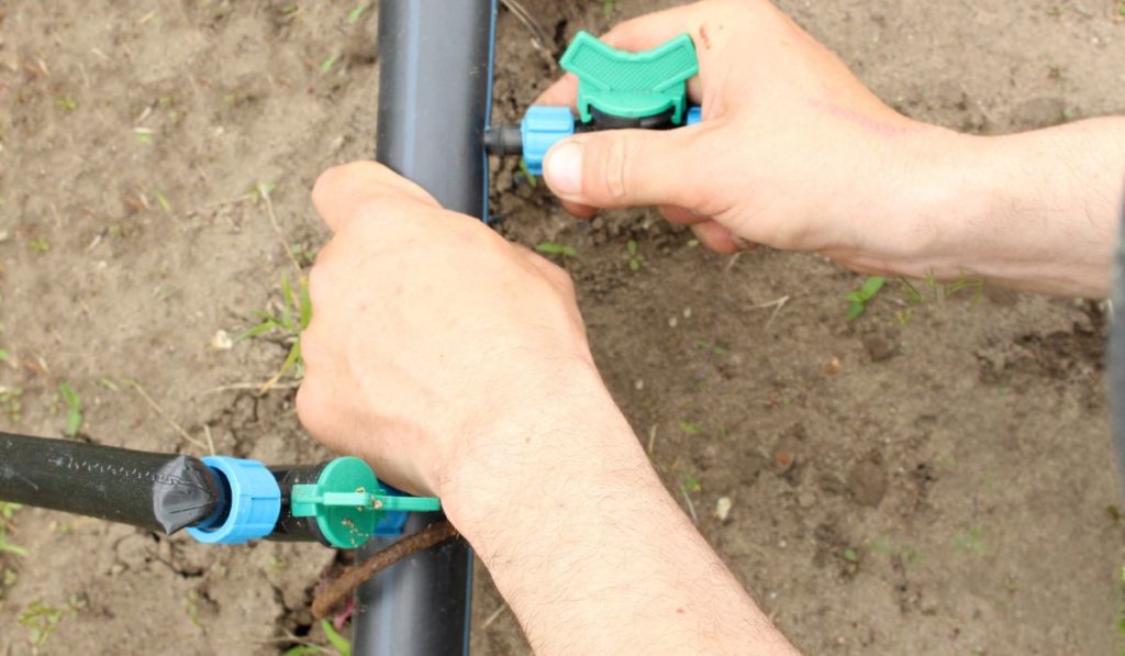 Prepared for early spring planting. Drip irrigation system close-up and hand screwing the fitting into the pipe