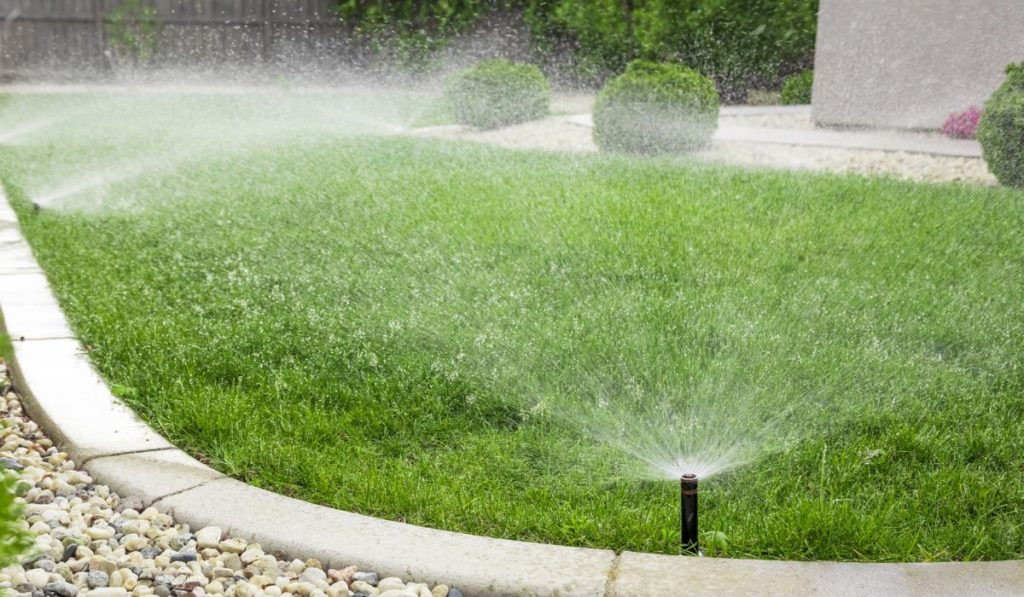 Sprinklers watering lawn in garden