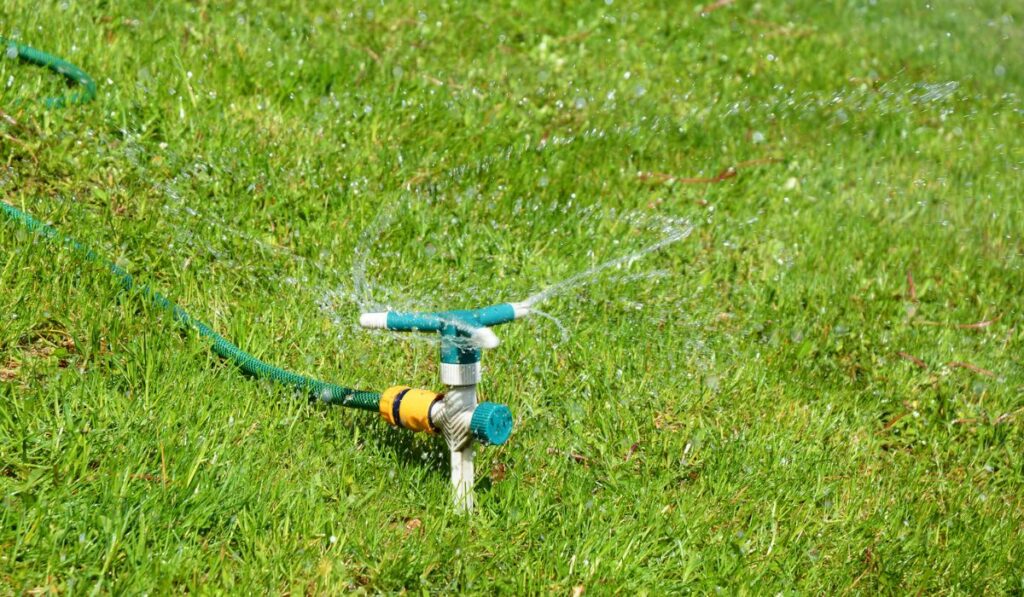 A close-up on a three arm garden sprinkler 