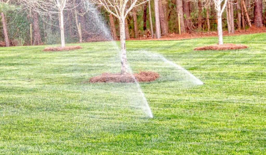 An in ground sprinkler system in a beautiful fescue lawn