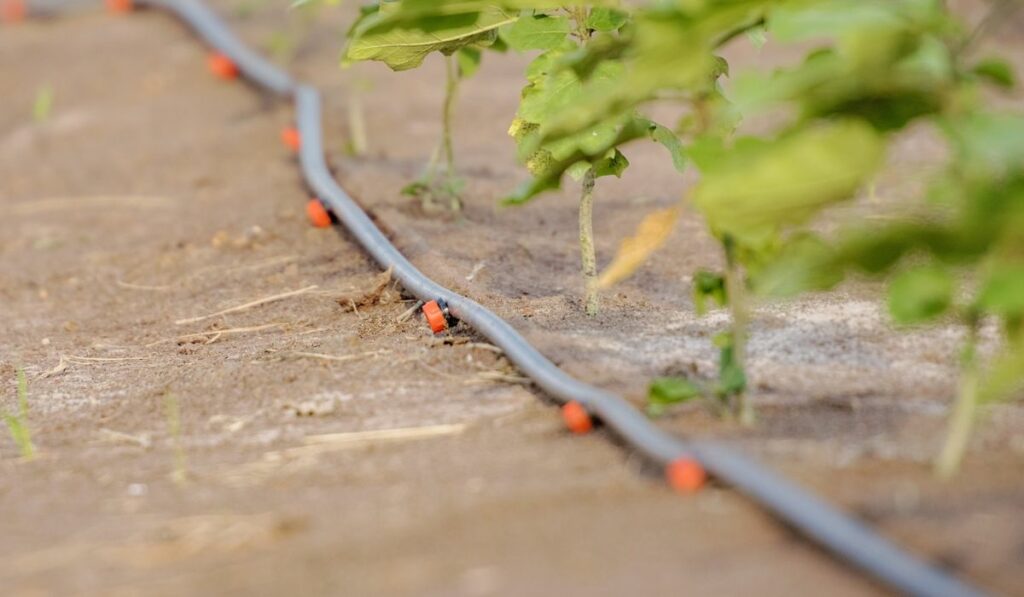 Drip Irrigation System