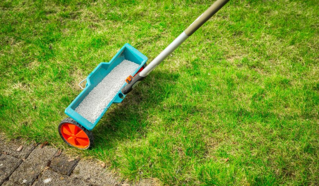 Fertilizer spreader on green lawn