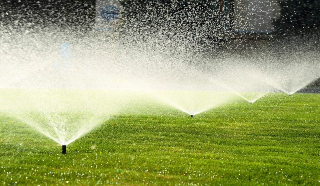 Garden sprinkler on the green lawn