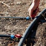 What Is The Best Time Of Day For Drip Irrigation? 