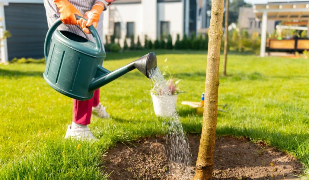 Inspired motivated person feeling alright while watering trees