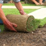 How Often Does Sod Need To Be Watered?