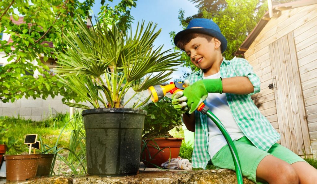 Little gardener watering palm tree with sprinkler