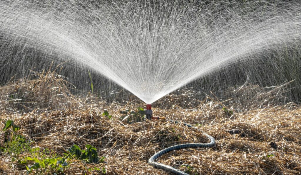 Sprinker irrigation system spraying water on field