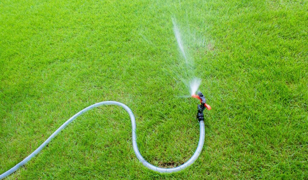 Sprinkler watering in the garden