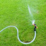 A Guide To Watering Your Grass