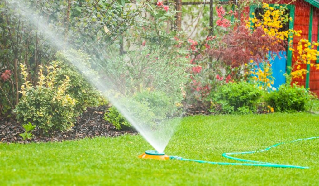 Water sprinkler spraying water over green grass in the garden