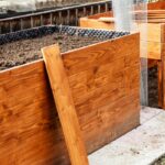These Are The Best Types Of Wood For Raised Garden Beds