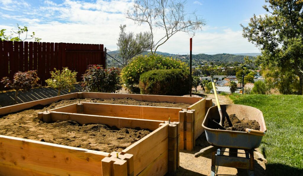 Raised Bed Garden Step Nine