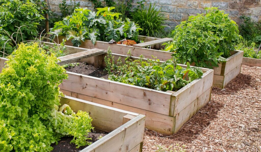 Raised Bed Vegetable & Flower Garden