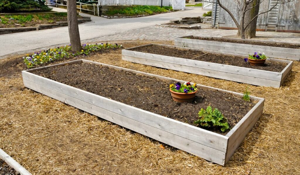 Raised Flower Beds