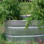 Galvanized Steel Plant Beds: Benefits, How-To, And Tips