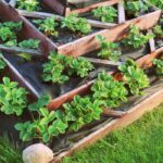 How To Determine The Depth Of A Raised Garden Bed