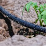 Soaker Hose vs. Drip Irrigation: Which Is Best?