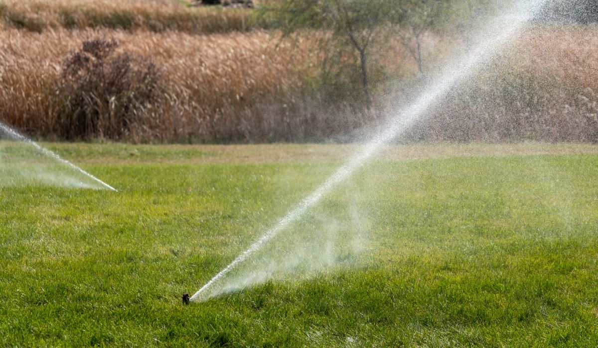 Turning Your Sprinklers Back On After Winter HowTo Guide