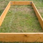 What’s The Best Size For A Raised Garden Bed? Factors To Consider 