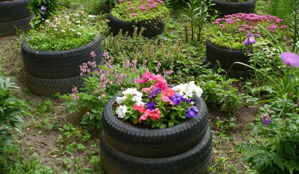 Little garden with flowerbeds