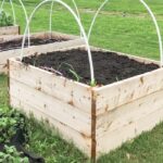 A Complete Guide To Building A Raised Garden Bed