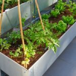 Can You Use Metal For Raised Garden Beds? Yes, Here’s How