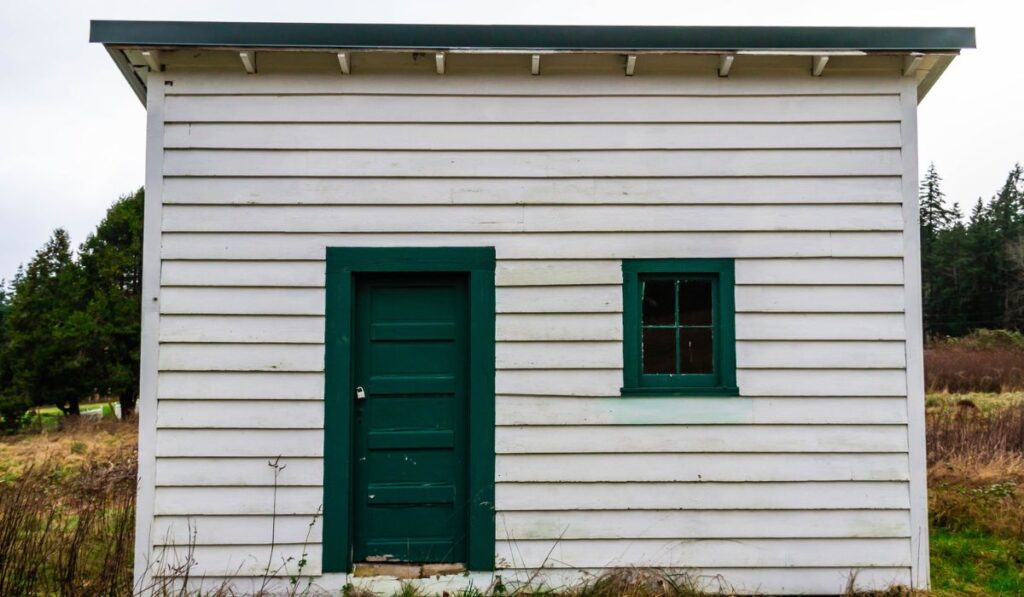 The side of an old shed with white siding